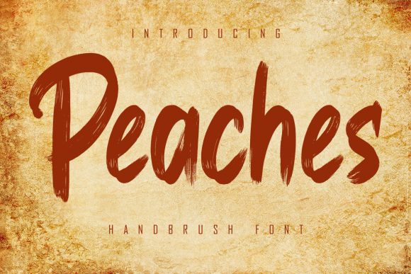 Peaches: A Brushed Display Font for Authentic Design